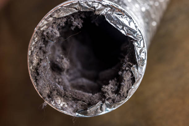 Best Air Duct Sanitizing Services  in Napoleon, OH
