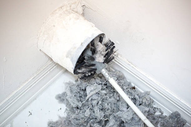 Best Ductwork Cleaning Services  in Napoleon, OH